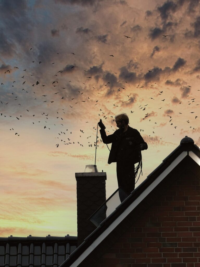 O nás chimney sweep, chimney, roof, nature, cleaning, work, sky, birds, sunset, worker, man, house, dusk, lucky charm